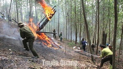 Политика в отношении лиц, мобилизованных для участия в предотвращении и тушении пожаров