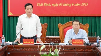 Thường trực Tỉnh ủy làm việc với Sở Khoa học và Công nghệ