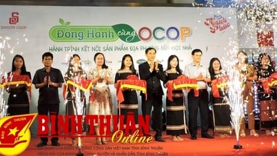 Счастливое путешествие Saigon Co.op объединяет культуры и демонстрирует местную продукцию OCOP