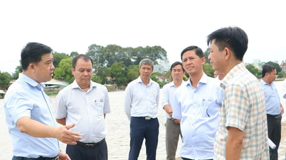 Nghiên cứu lại thiết kế các dự án kè gia cố bờ sông Đồng Nai