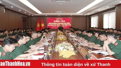 군구, 도군사령부 지역 군사조직 준비상황 점검