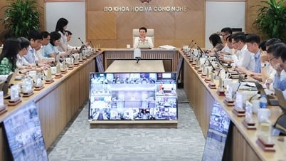 科学技術、イノベーション、デジタル変革に関する法政策の策定を加速