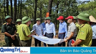 Le président par intérim du Comité populaire provincial, Hoang Nam, inspecte les travaux de prévention et de lutte contre les incendies de forêt