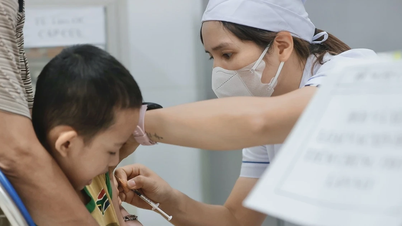 Hanoï : se concentrer sur la prévention des maladies pendant la saison des pluies
