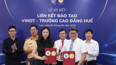 VinDT nâng tầm trải nghiệm học lái xe bằng dàn xe điện VinFast khắp 3 miền