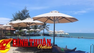 Le tourisme de Binh Thuan est prêt à servir les clients cet été
