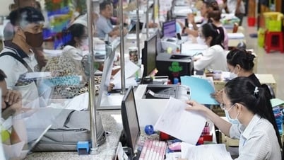 Draft Decree regulating disciplinary action against cadres, civil servants and public employees