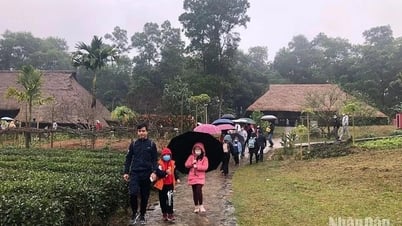 ទិវាគ្រួសារភ្ជាប់សហគមន៍ជនជាតិ