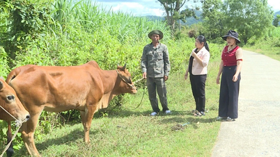 Tín dụng chính sách góp phần đẩy lùi “tín dụng đen”
