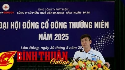 Annual General Meeting of Shareholders 2025 Da Nhim - Ham Thuan - Da Mi Hydropower Joint Stock Company