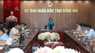 Dong Nai по сути решил правовые проблемы для горнодобывающих предприятий.