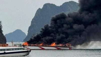 白土龍湾のクルーズ船火災