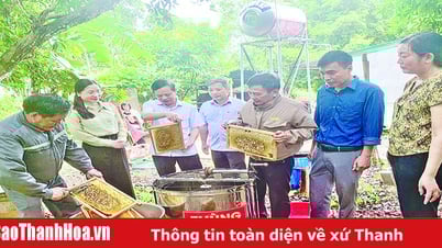 Khi nông dân bắt nhịp chuyển đổi số