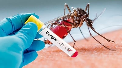 Verschärfen Sie die Überwachung und rechtzeitige Erkennung von Fällen