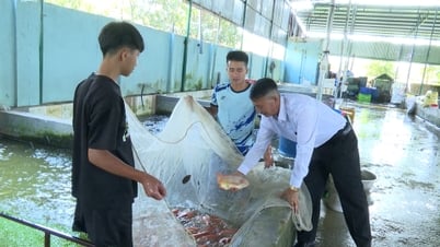 ダクハは民間経済の発展に焦点を当てている