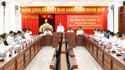 Ban Thường vụ Tỉnh ủy Bình Định và Gia Lai họp bàn phương án nhân sự