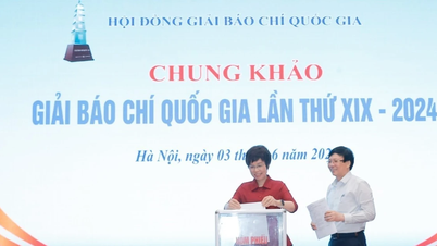 The 19th National Press Awards 2024: Honoring 125 outstanding works PV