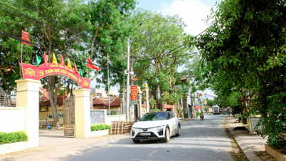 Khơi sức dân xây dựng nông thôn mới nâng cao ở Sơn Đông