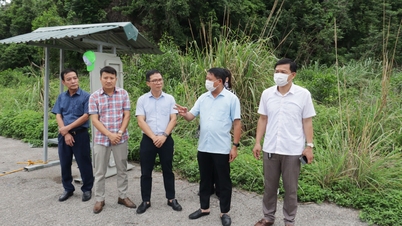 Giám sát chuyên đề việc thực hiện phân loại chất thải rắn sinh hoạt tại Thành phố Thủy Nguyên