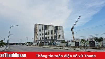 Thanh Hóa phấn đấu hoàn thành 5.249 căn nhà ở xã hội trong năm 2025 