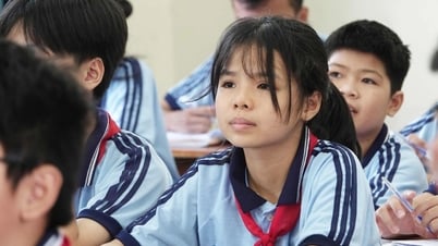 Math questions and answers for 10th grade entrance exam in Ninh Binh province in 2025