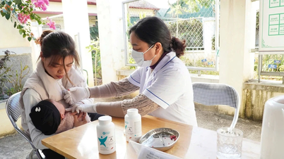 การเสริมธาตุอาหารช่วยให้สุขภาพชุมชนดีขึ้น