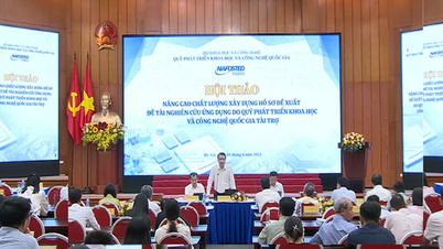 Đổi mới cơ chế tài trợ nghiên cứu ứng dụng: Kết nối khoa học với thực tiễn