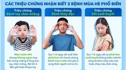 Tại sao mùa hè lại xuất hiện nhiều dịch bệnh?