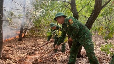 Сильная жара, Центральный регион активирует систему раннего оповещения для предотвращения лесных пожаров