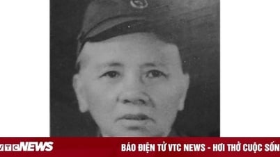 伝説の女スパイと追跡不能な500回の密輸