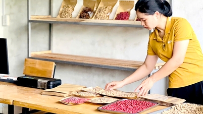Xín Mần phát triển sản phẩm nông nghiệp đặc trưng