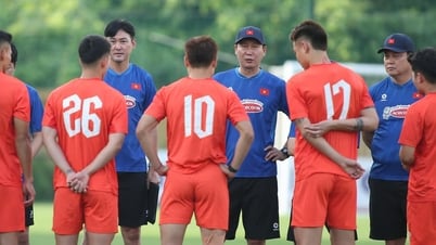 Malaysia nhập tịch ồ ạt, HLV Cklamovski muốn gây sốc đội tuyển Việt Nam
