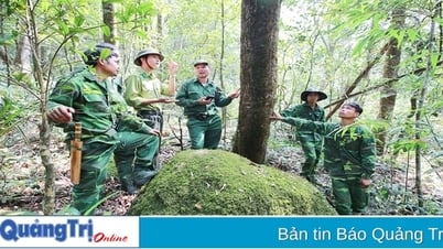 Hợp tác về quản lý bảo vệ rừng khu vực biên giới