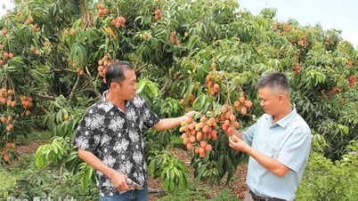 Ea Kar phát huy vai trò kinh tế tập thể
