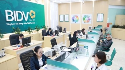 البنوك تمنع المعاملات الاحتيالية باستخدام مستودع بيانات الحسابات "السوداء"