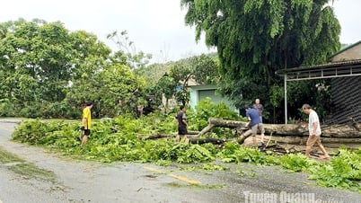 เตือนระวังภัยธรรมชาติ ฝนตกหนัก ลมพายุ และฟ้าคะนอง ระดับ 1