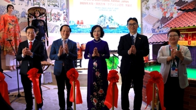 Открытие недели Quang Ninh EXPO 2025 в Японии