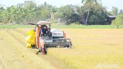 Bài 1: Tìm giải pháp đột phá cho cây lúa