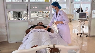 奇妙なキノコ鍋を食べ、7人が食中毒、1人が肝臓と腎臓に損傷