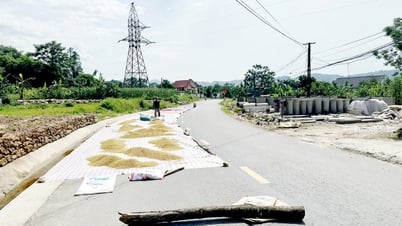 Cần chấm dứt tình trạng người dân phơi thóc trên Tỉnh lộ 177 thuộc thôn Xuân Hòa, xã Tân Quang