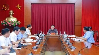 Согласовать политику развития инфраструктуры промышленного парка в районе Киен Туй
