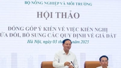 Hoàn thiện quy định về giá đất, gỡ khó cho doanh nghiệp, địa phương