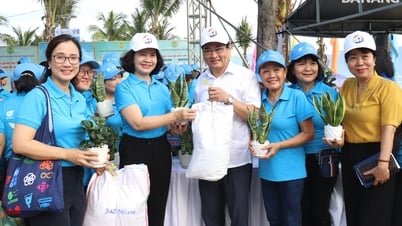 Nhiều hoạt động hưởng ứng Tháng hành động vì môi trường, Tuần lễ biển và hải đảo Việt Nam