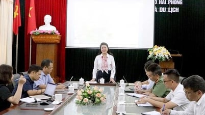 Trong tháng 6, Hải Phòng đưa vào khai thác tour đêm Dấu thiêng Hàng Kênh