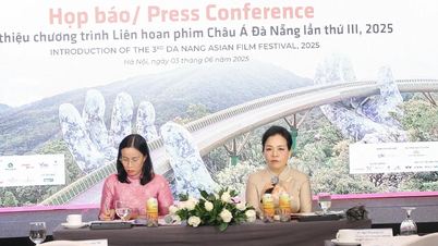 Plus de 100 films sont présents au 3e Festival du film asiatique de Da Nang