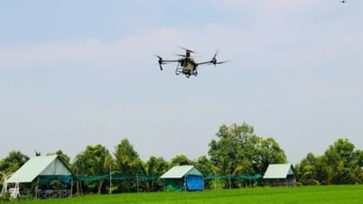 Новый импульс для роста сельского хозяйства