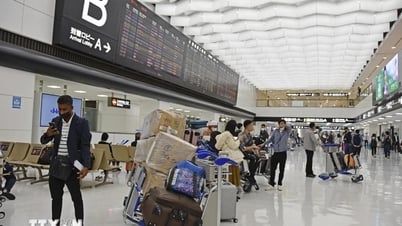 Airline industry forecasts profit decline due to trade tensions