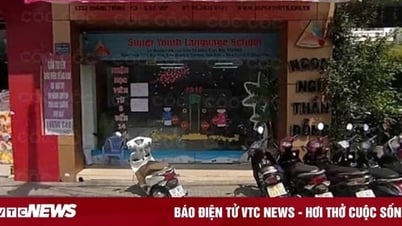 TP.HCM yêu cầu một trung tâm ngoại ngữ dừng hoạt động