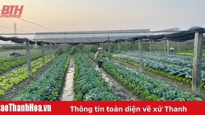 Developing agriculture in a modern direction
