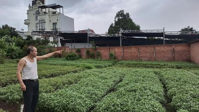 Người dân phải “sống chung” với ô nhiễm đến bao giờ?